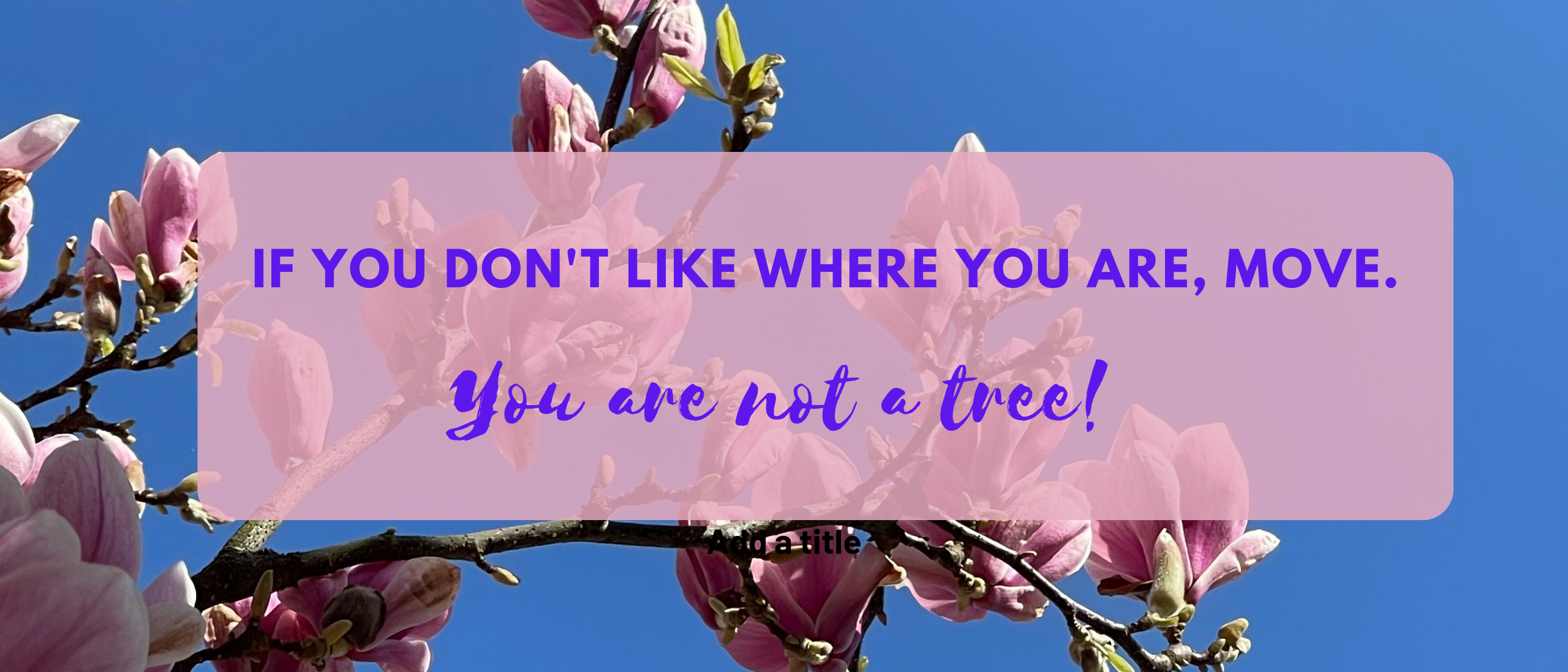 if you don’t like where you are, move. You are not a tree. if you don't like where you are, move. You are not a tree.